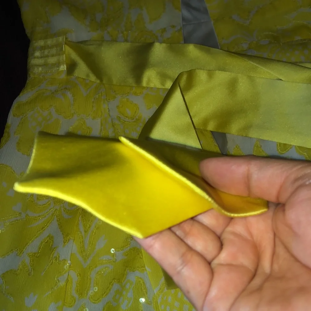 Dress - Picture 7 of 9